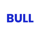 BULL INVESTMENTS LTD.