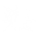 JLGOV LLC