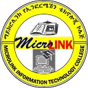 Microlink IT College